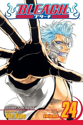 Image for Bleach, Vol. 24