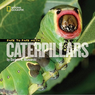 Image for Face to Face with Caterpillars (Face to Face with Animals) Face to Face with Caterpillars (Face to Face with Animals)