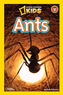 Image for NATIONAL GEOGRAPHIC READERS: ANT