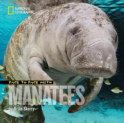 Face to Face with Manatees (Face to Face with Animals)