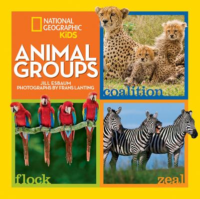 Image for Animal Groups Animal Groups