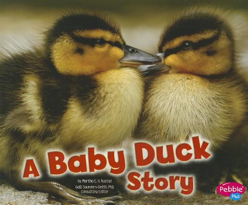 Image for A Baby Duck Story (Baby Animals) A Baby Duck Story (Baby Animals)