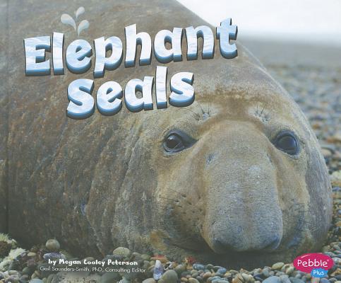 Elephant Seals (Marine Mammals)