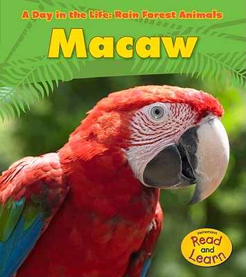 Macaw (A Day in the Life: Rain Forest Animals)