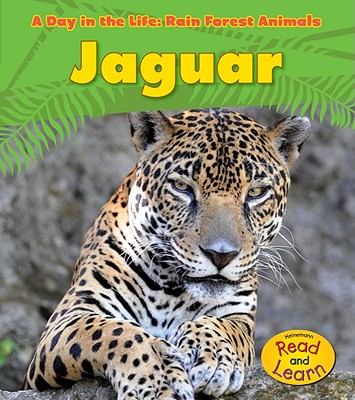 Jaguar (A Day in the Life: Rain Forest Animals)