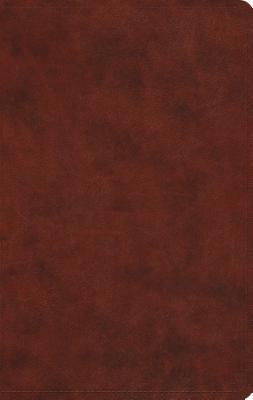 Image for ESV Large Print Value Thinline Bible (TruTone, Chestnut)