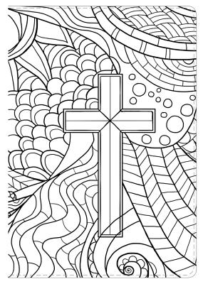 Image for HCSB Compact UltraThin Bible for Teens, with Make-It-Your-Own cover