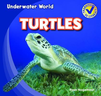 Turtles (Underwater World)