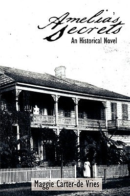 Amelia's Secrets: An Historical Novel Image for Amelia's Secrets: An Historical Novel