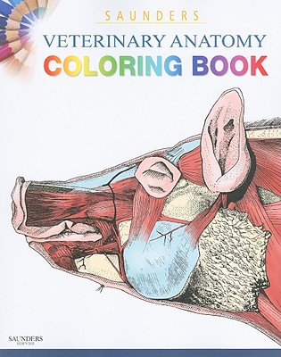 Image for Saunders Veterinary Anatomy Coloring Book