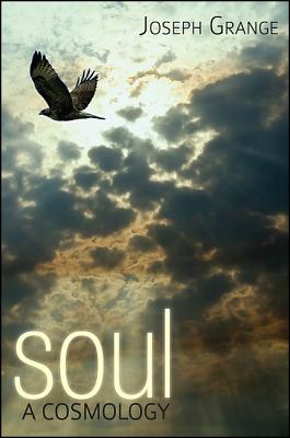 Soul: A Cosmology (Cosmology Trilogy)