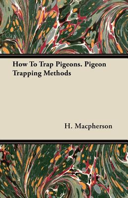 Pigeon Trapping in the Old and New Worlds