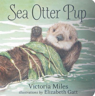 Sea Otter Pup