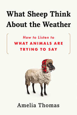 What Sheep Think about the Weather: How to Listen to What Animals Are Trying to Say