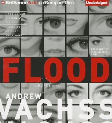 Flood: A Novel (Burke Series)