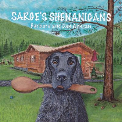 Image for Sarge's Shenanigans
