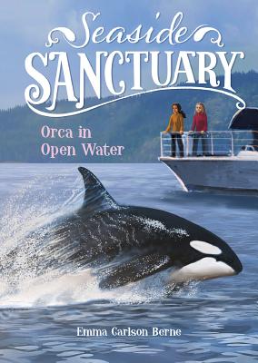 Image for Orca in Open Water (Seaside Sanctuary) Orca in Open Water (Seaside Sanctuary)