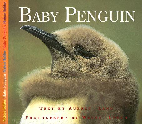 Baby Penguin (Nature Babies)