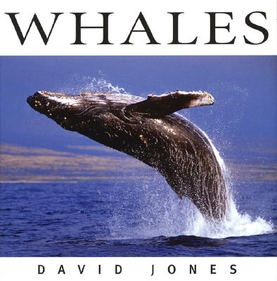 Whales (Wildlife Series)