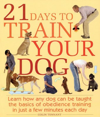 Image for 21 Days to Train Your Dog: Learn how any dog can be taught the basics of obedience training in just a few minutes each day