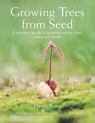 Growing Trees From Seed A Practical Guide To Growi