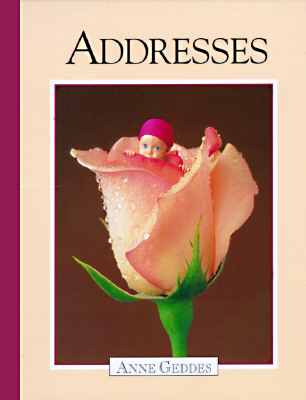 Addresses/Rose Baby