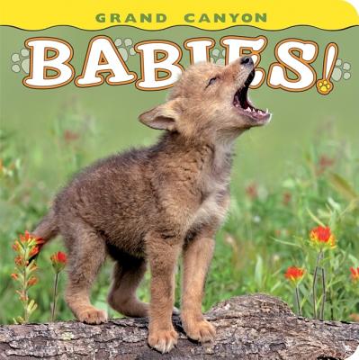 Image for Grand Canyon Babies! Grand Canyon Babies!