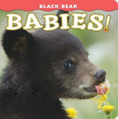 Black Bear Babies! (Babies! Animal)
