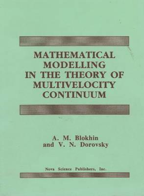 Mathematical Modelling in the Theory of Multivelocity Continuum