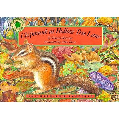Chipmunk at Hollow Tree Lane