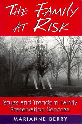 Image for The Family at Risk: Issues and Trends in Family Preservation Services (Social Problems and Social Issues)