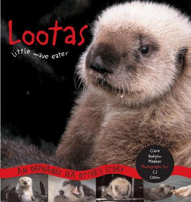 Image for Lootas Little Wave Eater: An Orphaned Sea Otter's Story Lootas Little Wave Eater: An Orphaned Sea Otter's Story