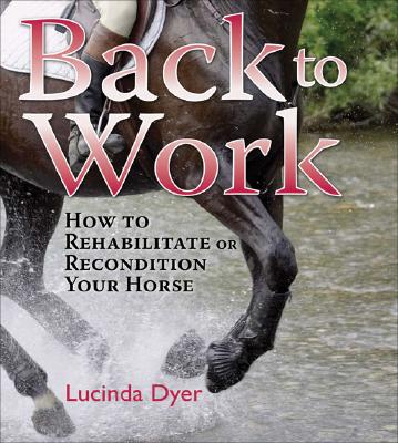 Image for Back to Work: How to Rehabilitate or Recondition Your Horse