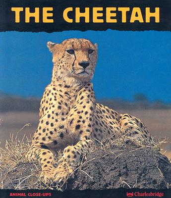 Image for The Cheetah: Fast as Lightning (Animal Close-Ups)