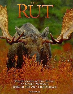 The Rut: The Spectacular Fall Ritual of North American Horned and Antlered Animals