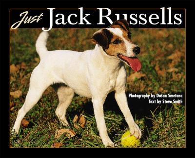 Image for Just Jack Russells