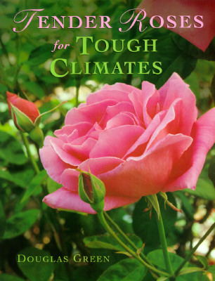 Tender Roses For Tough Climates
