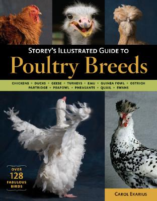 Image for Storey's Illustrated Guide to Poultry Breeds