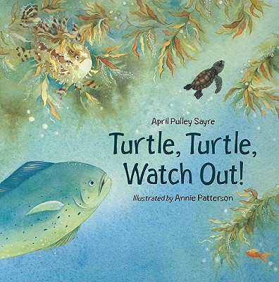 Image for Turtle, Turtle, Watch Out! Turtle, Turtle, Watch Out!