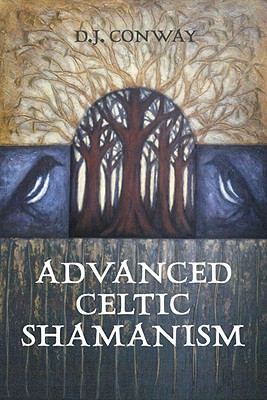 Image for Advanced Celtic Shamanism
