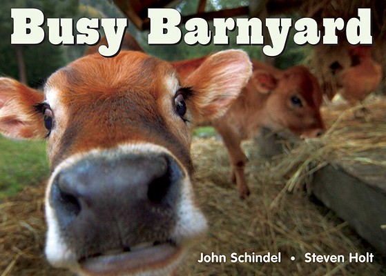 Image for Busy Barnyard (A Busy Book) Busy Barnyard (A Busy Book)