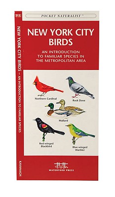 New York City Birds: A Folding Pocket Guide to Familiar Species in the Metropolitan Area