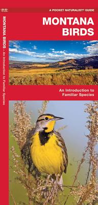 Image for Montana Birds: A Folding Pocket Guide to Familiar Species (Nature Observation North America) Montana Birds: A Folding Pocket Guide to Familiar Species (Nature Observation North America)