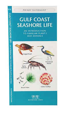 Pocket Naturalist - Gulf Coast Seashore Life