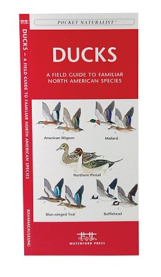 Image for Ducks: A Field Guide to Familiar North American Species (Pocket Naturalist Guide Series) Ducks: A Field Guide to Familiar North American Species (Pocket Naturalist Guide Series)
