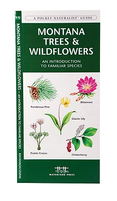 Montana Trees & Wildflowers (Nature Observation North America)