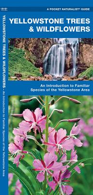 Image for Yellowstone Trees & Wildflowers: A Folding Pocket Guide to Familiar Plants of the Yellowstone Area (Wildlife and Nature Identification) Yellowstone Trees & Wildflowers: A Folding Pocket Guide to Familiar Plants of the Yellowstone Area (Wildlife and Nature Identification)