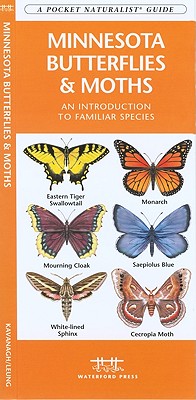 Minnesota Butterflies & Moths: A Folding Pocket Guide to Familiar Species (A Pocket Naturalist Guide)