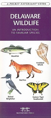 Image for Plenty: Vibrant Recipes from London's Ottolenghi Plenty: Vibrant Recipes from London's Ottolenghi