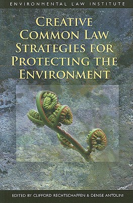 Creative Common Law Strategies for Protecting the Environment (Environmental Law Institute)